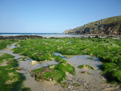 Plage bretonne recouverte d