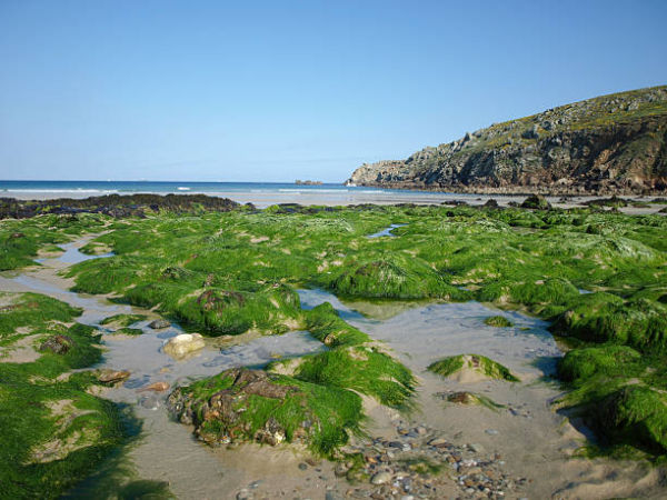 Une plage bretonne recouverte d